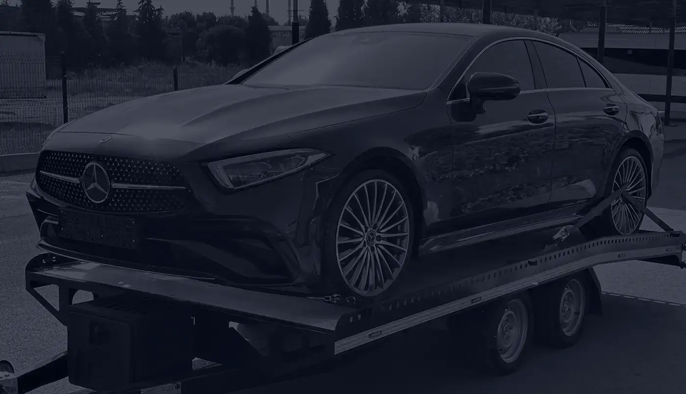 DUTCH VAN Hafif Seriler